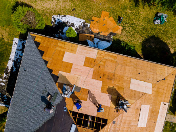 Professional Roofing Contractor in Pharr, TX